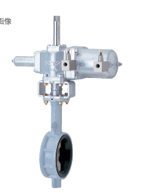 日本KITZ北泽BS-16DJUE600