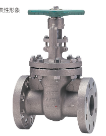 日本KITZ北泽300UMAM14