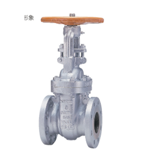 日本KITZ北泽10SCLS200