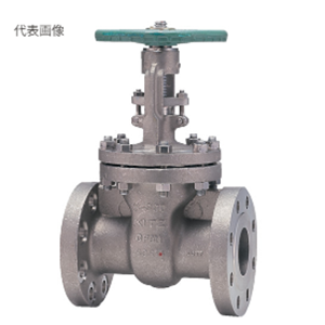 日本KITZ北泽300UMAM1