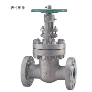 日本KITZ北泽600UOAM1