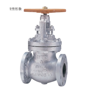 日本KITZ北泽G-20SCJS300